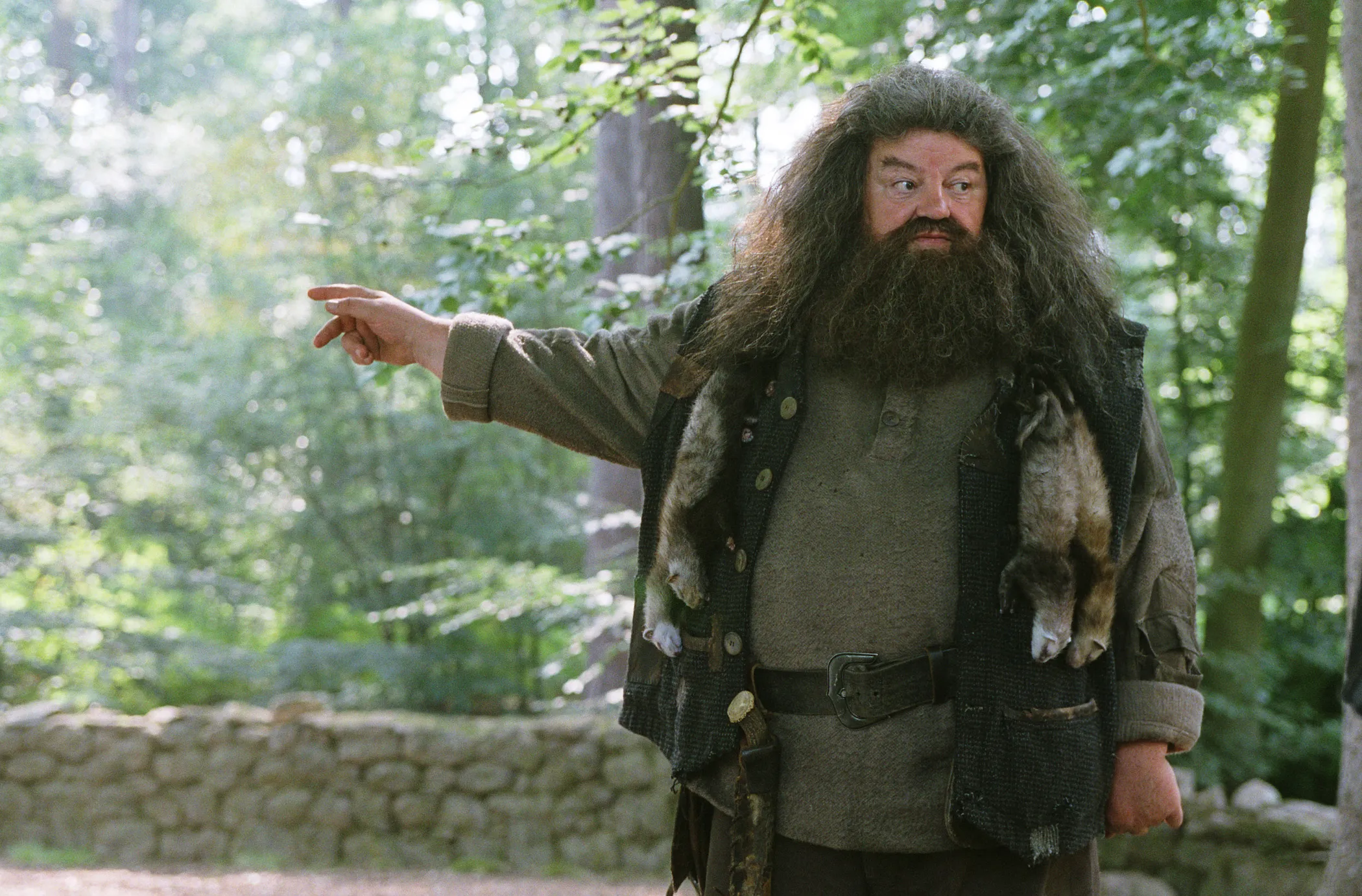 Hagrid, from the Harry Potter series, has died at the age of 72.